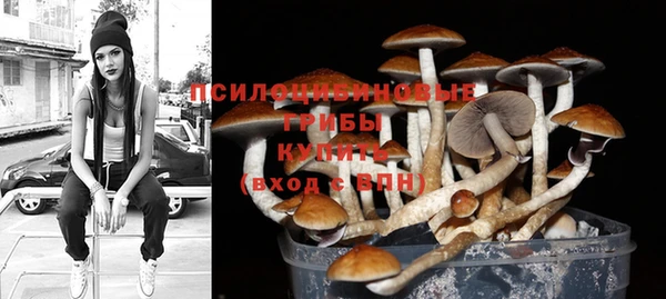 кокс Козельск