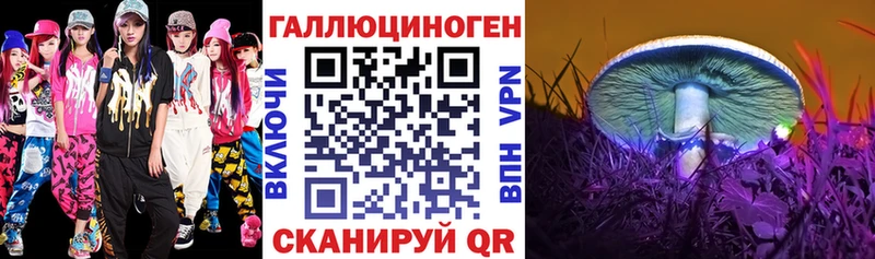 Псилоцибиновые грибы Psilocybine cubensis  Тольятти 